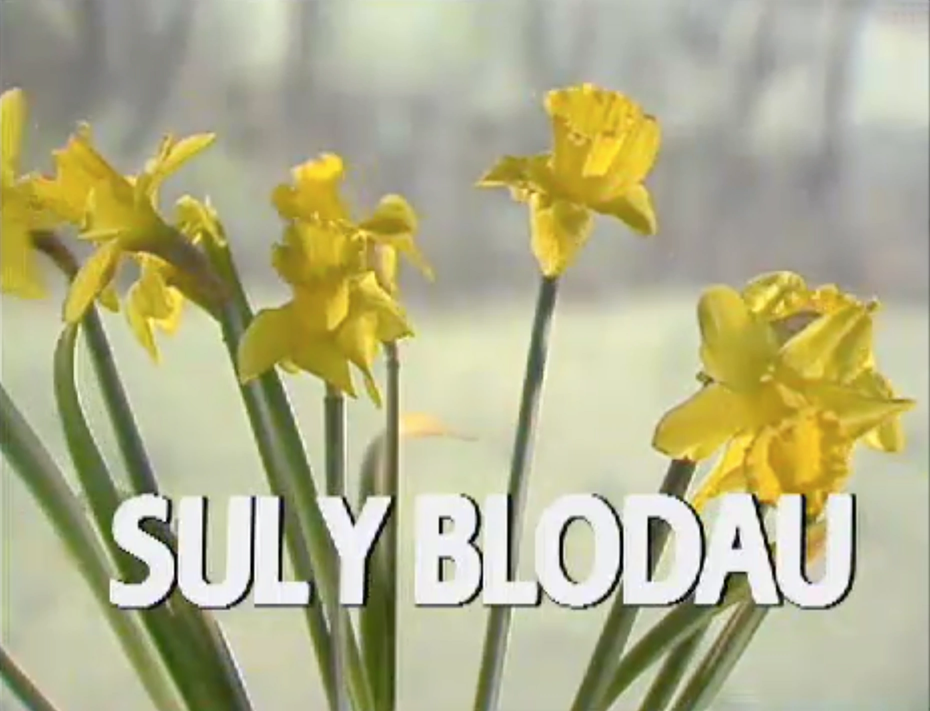 Cliciwch yma i weld y gwasanaeth